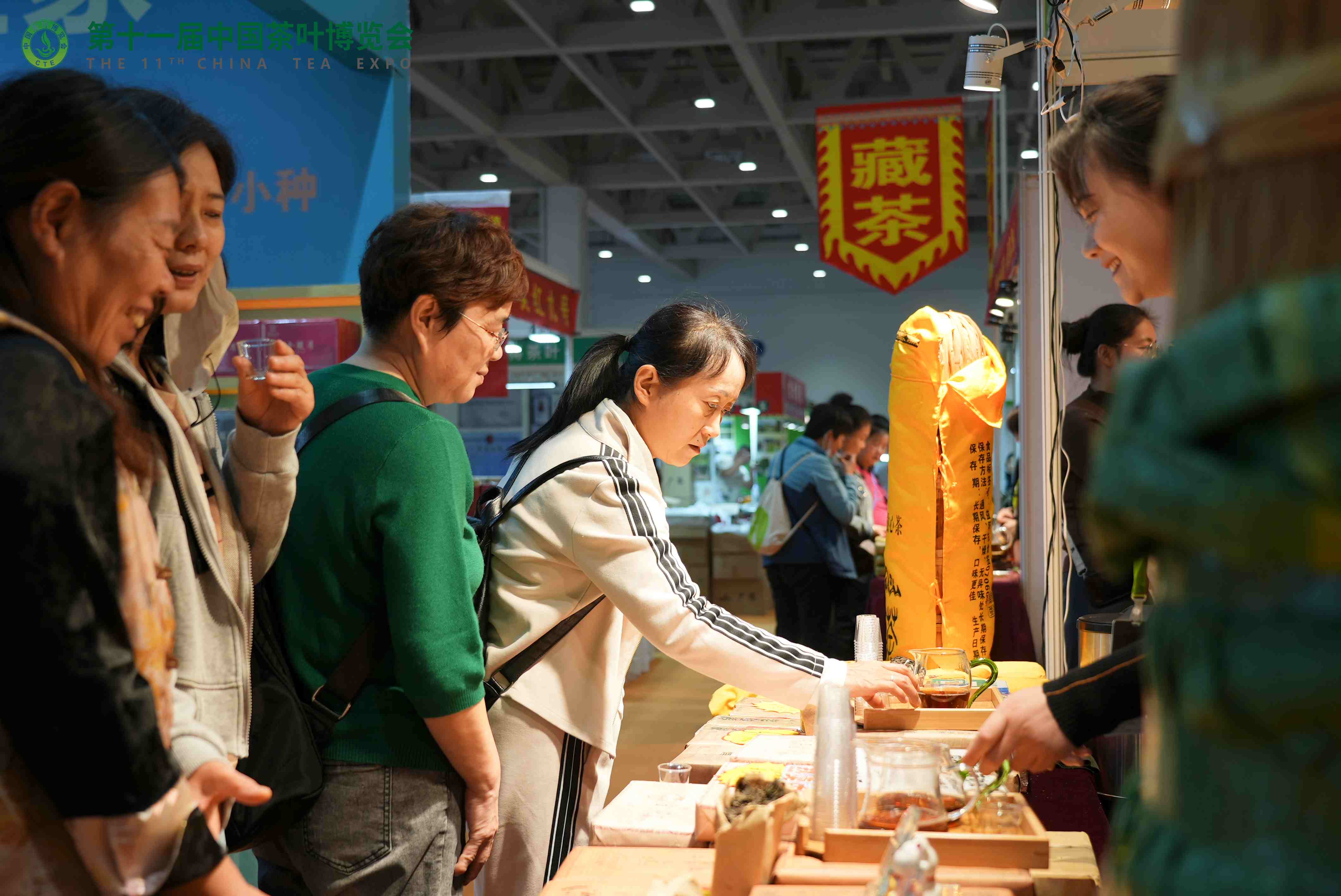 1740558426132382.jpg DSC08867-opq3245605026.jpg